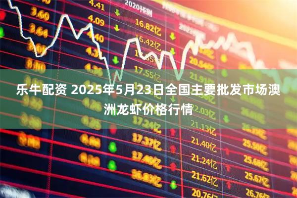 乐牛配资 2025年5月23日全国主要批发市场澳洲龙虾价格行情
