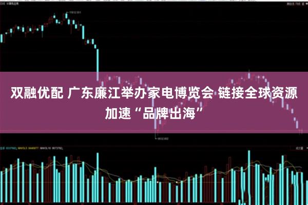 双融优配 广东廉江举办家电博览会 链接全球资源加速“品牌出海”