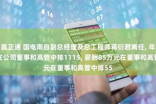 赢正通 国电南自副总经理及总工程师蒋衍君离任, 年龄50岁在公司董事和高管中排1115, 薪酬85万元在董事和高管中排55