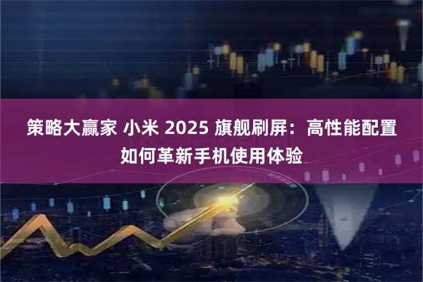 策略大赢家 小米 2025 旗舰刷屏：高性能配置如何革新手机使用体验