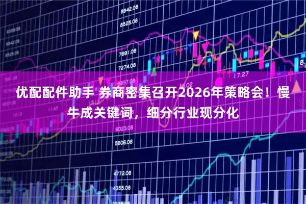 优配配件助手 券商密集召开2026年策略会！慢牛成关键词，细分行业现分化